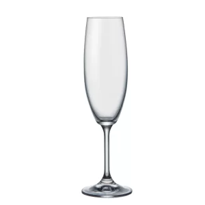Jogo com 6 Taças de Cristal Bohemia para Champanhe - 22ml - Roberta